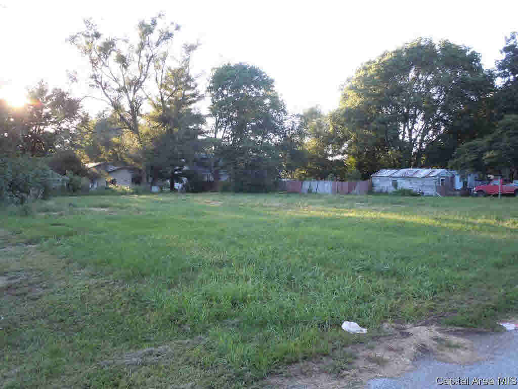 Lot 12/13 9 1/2th Street  Monmouth IL 61462