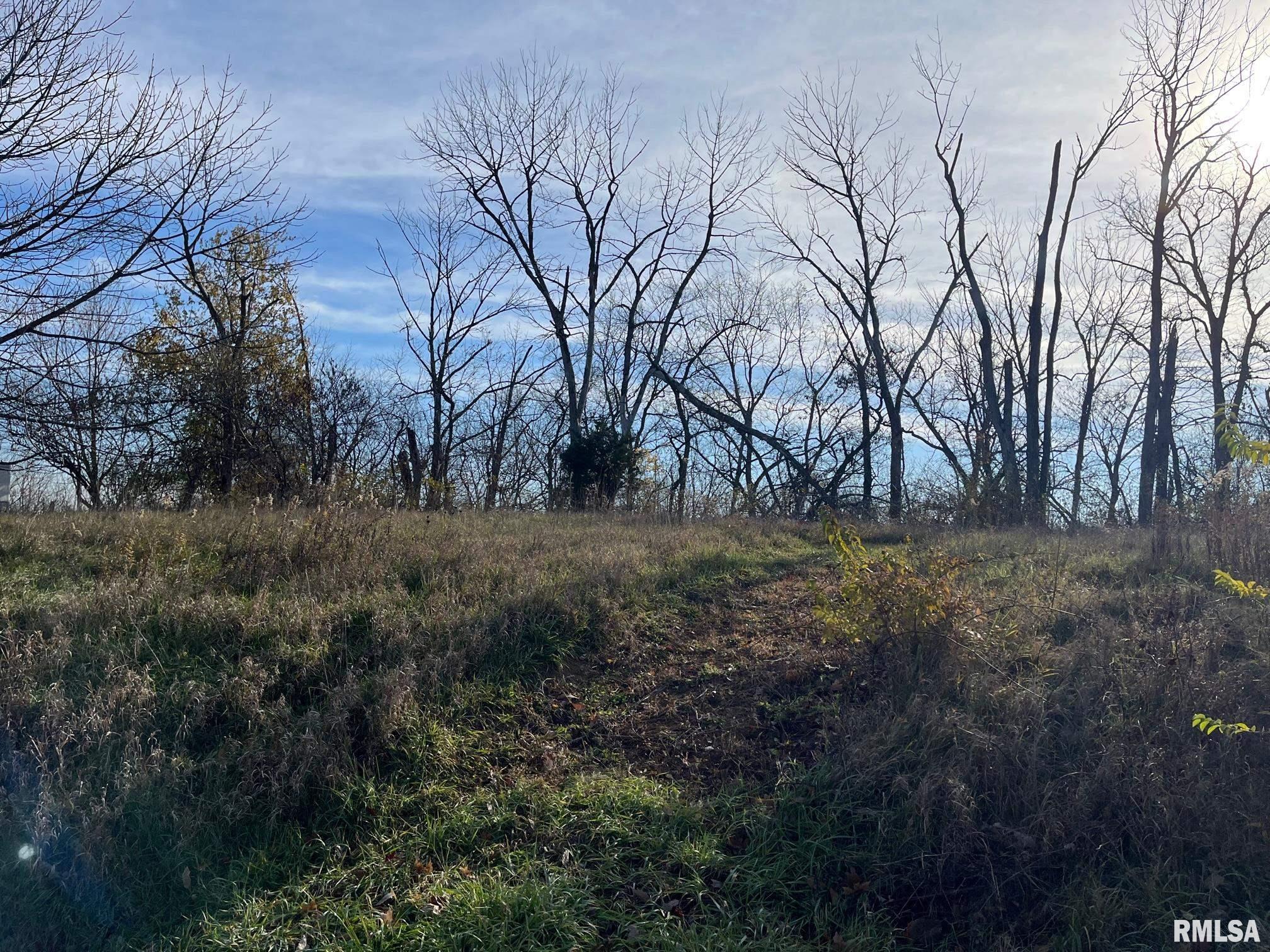 Lot 20 DEER BLUFFS Drive  Chillicothe IL 61523