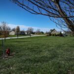 14 lots 243RD Avenue  Pittsfield IL 62363