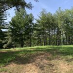 4159 EVERGREEN Lane  Pinckneyville IL 62274
