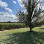 488 IL Route 116   Germantown Hills IL 61548
