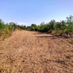 39 Bushwack Road  Golconda IL 62938