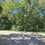 TBD Senior Avenue  Vienna IL 62995