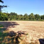 39 Bushwack Road  Golconda IL 62938