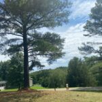 4159 EVERGREEN Lane  Pinckneyville IL 62274