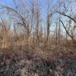 11 Choctaw Drive  Carbondale IL 62901