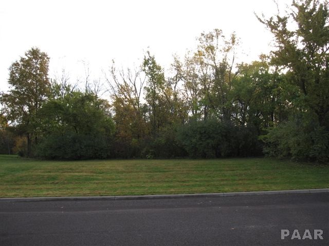 Lot 14 GRACE Lane  Edwards IL 61528