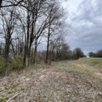 000 US ROUTE 51 Highway  DeSoto IL 62924