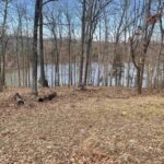 Lot 76 & 77 Saluki Way  Goreville IL 62939