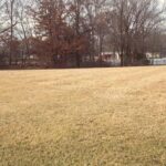 22 Clearlake Drive  Centralia IL 62801