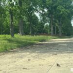 3401 (Lot 13) RIDGE CREST Drive  Mt Vernon IL 62864