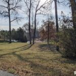 69 David Livingstone Drive  Carterville IL 62918