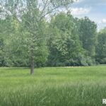 3440 (Lot 14) RIDGE CREST Drive  Mt Vernon IL 62864