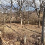 17 Deer Meadow Lane  Petersburg IL 62675
