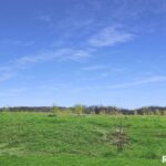 0 - LOT 7 TOWN Avenue  Princeville IL 61559