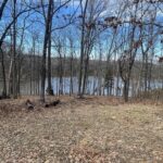 Lot 76 & 77 Saluki Way  Goreville IL 62939