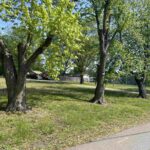 2011 MORGAN Avenue  Marion IL 62959