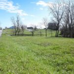 14 lots 243RD Avenue  Pittsfield IL 62363