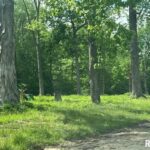 3600 (Lot18) RIDGE CREST Drive  Mt Vernon IL 62864