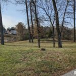 69 David Livingstone Drive  Carterville IL 62918