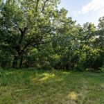 49 acres +/- 250TH Avenue  Liberty IL 62347