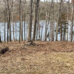 Lot 76 & 77 Saluki Way  Goreville IL 62939
