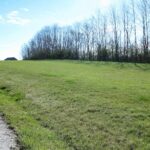 14 lots 243RD Avenue  Pittsfield IL 62363