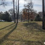 69 David Livingstone Drive  Carterville IL 62918