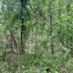 000 Knob Creek Road  Carbondale IL 62903