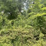 000 Knob Creek Road  Carbondale IL 62903