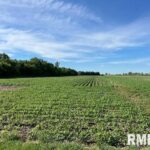 11TH Avenue  Monmouth IL 61462