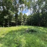 TBD Lot 7 8 9 KENTUCKY Street  Cambria IL 62915