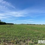 11TH Avenue  Monmouth IL 61462