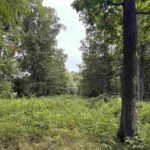 0000 Richview Road  Mt Vernon IL 62864