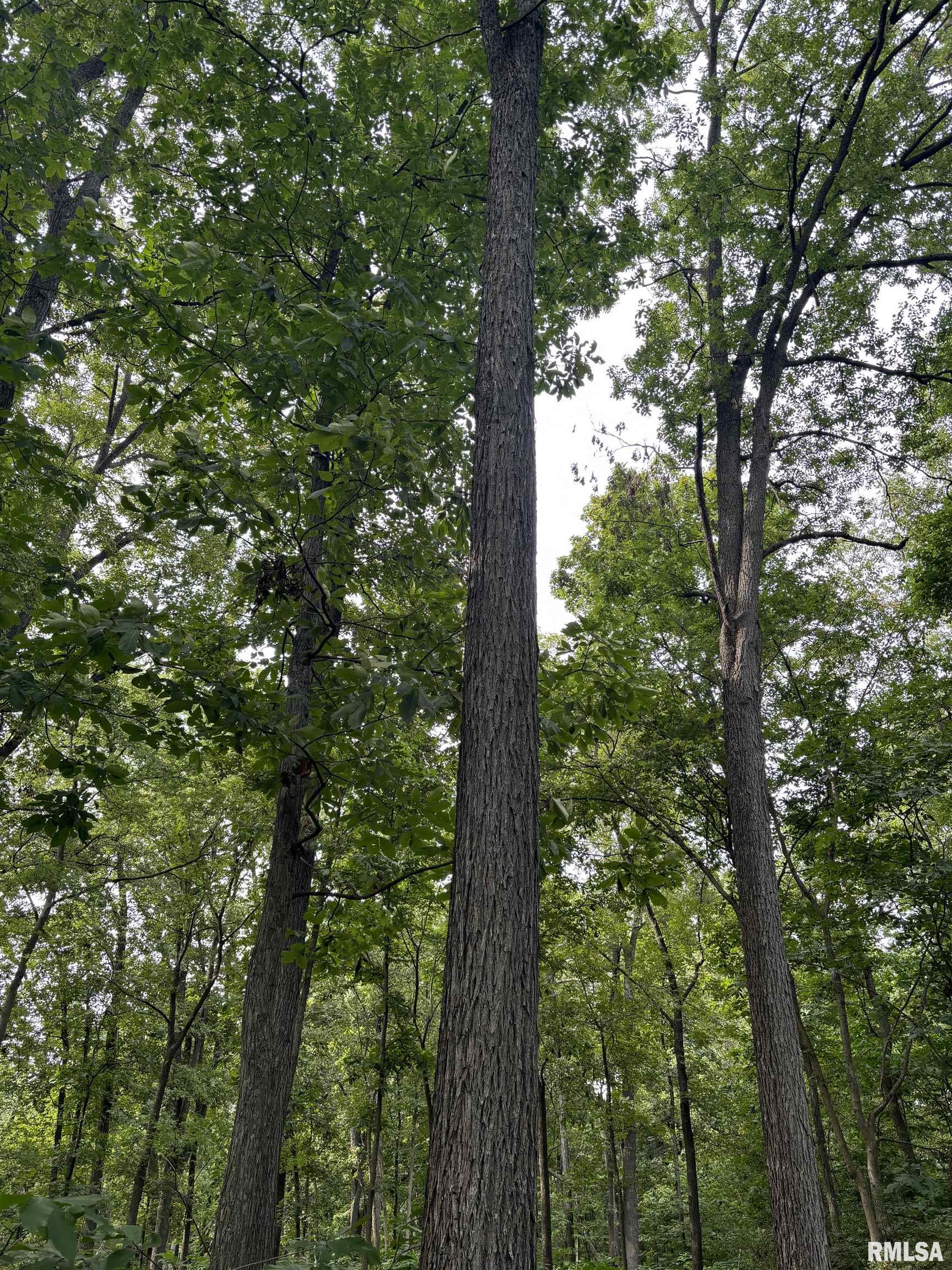 0000 Richview Road  Mt Vernon IL 62864