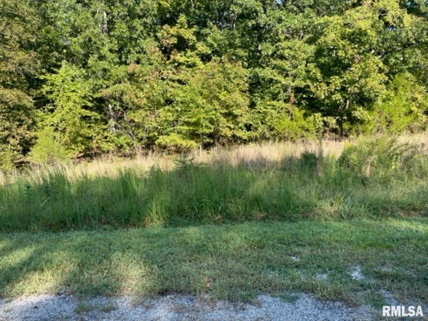 Lot 48 & 49 Chariot Court  Goreville IL 62939