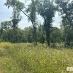 Lot 1 225TH Street  De Witt IA 52742