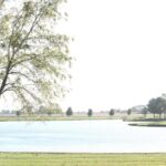 405 BURR OAK Drive  Williamsville IL 62693
