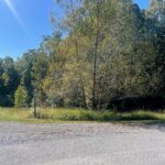 Lot 48 & 49 Chariot Court  Goreville IL 62939