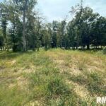 Lot 1 225TH Street  De Witt IA 52742