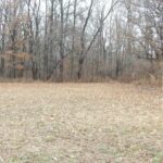 0000 FRISCO Road  Ewing IL 62836
