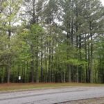 Lot 41 Luxor Landing Lane  Goreville IL 62939