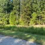 Lot 48 & 49 Chariot Court  Goreville IL 62939