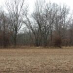 0000 FRISCO Road  Ewing IL 62836