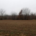 0000 FRISCO Road  Ewing IL 62836