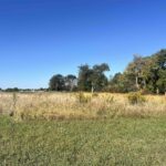 Lot 88 Kyle Court  Metamora IL 61548