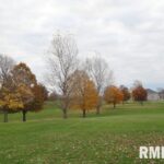 LOT 40 FAIRGROUND Drive  Elmwood IL 61529