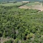 75 acres m/l 13 Walker Twp   West Point IL 62380