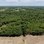 75 acres m/l 13 Walker Twp   West Point IL 62380