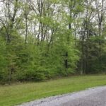 Lot 80 & 81 Saluki Way  Goreville IL 62939